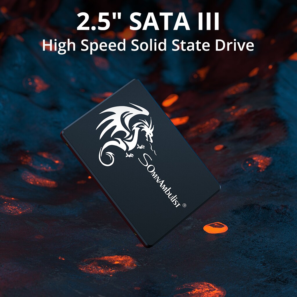 SomnAmbulist SSD 120GB 240GB 4 - Samsung Ssd Evo 870 avis et prix