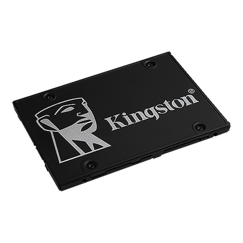 Kingston KC600 SSD 1 to 256GB  - Samsung Ssd Evo 870 avis et prix